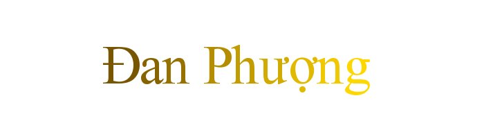 Câu chuyện tình cảm  